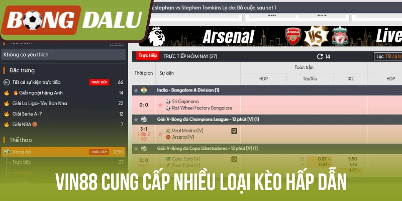 Vin88 cung cấp nhiều loại kèo hấp dẫn