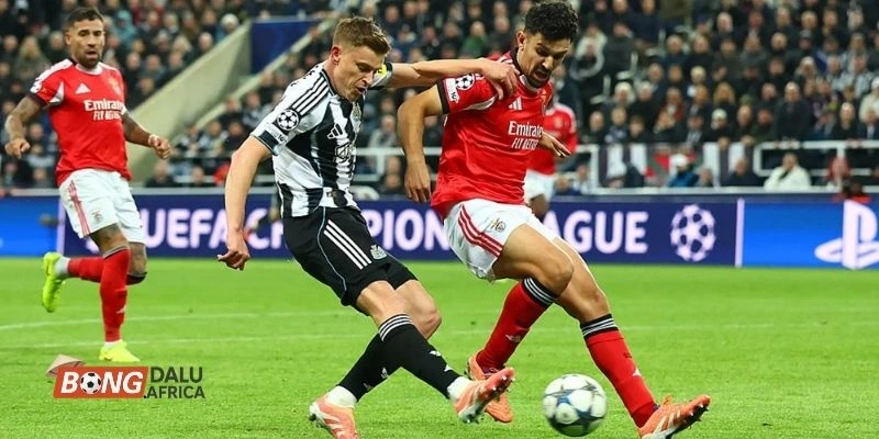 Cập nhật phong độ trước trận của Qarabağ vs Newcastle United